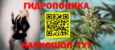 амф Балахна