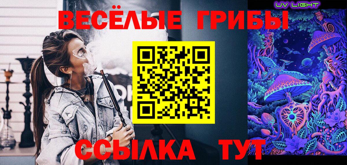 Дзержинск  Псилоцибиновые грибы Psilocybine cubensis  Вход с VPN  Псилоцибиновые грибы MAGIC MUSHROOMS 