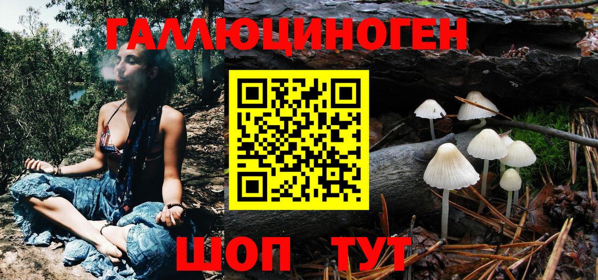 Псилоцибиновые грибы Cubensis Дзержинск